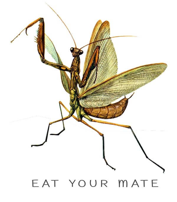 Eat Your Mate T-Shirt